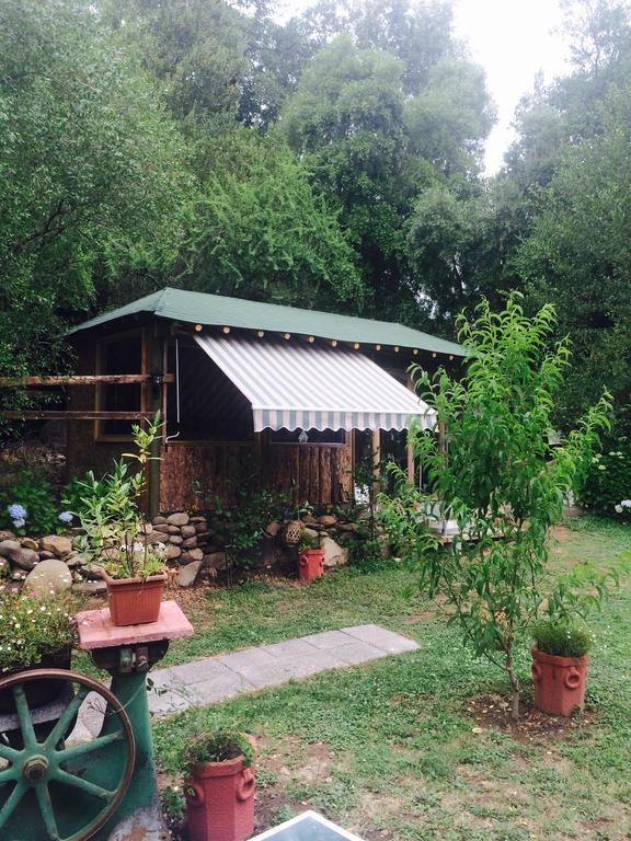 Cabanas Rahue 比尔切斯 外观 照片